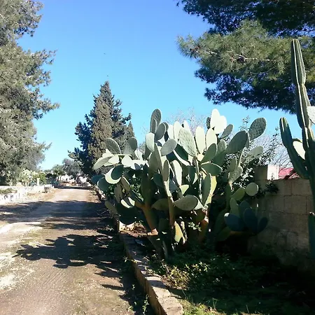 住宿加早餐酒店 Da Mesciu Nzinu