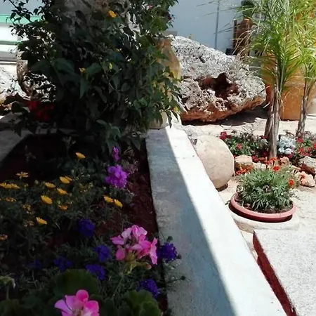 Da Mesciu Nzinu 3* 桑尼科拉