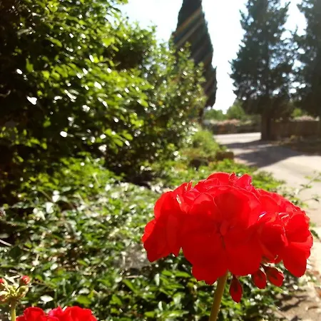 Da Mesciu Nzinu 3* Sannicola