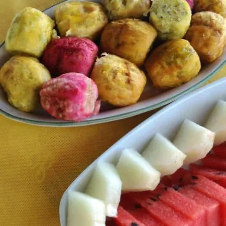 Alojamento de Acomodação e Pequeno-almoço Da Mesciu Nzinu