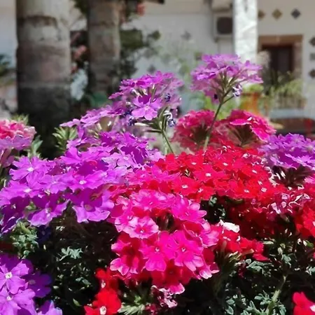 Da Mesciu Nzinu 3* Sannicola