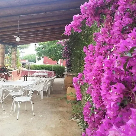 Da Mesciu Nzinu Sannicola