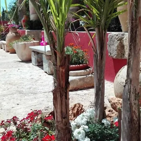 Bed & Breakfast Da Mesciu Nzinu