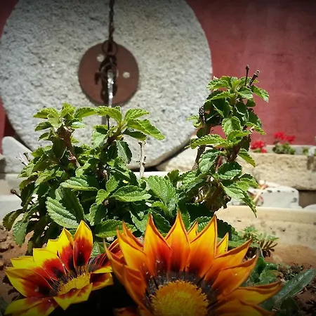 Alojamento de Acomodação e Pequeno-almoço Da Mesciu Nzinu 3*