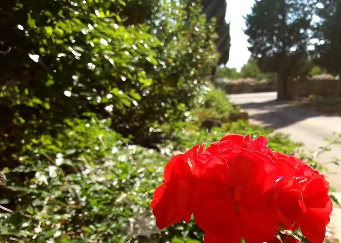 Da Mesciu Nzinu 3* Sannicola