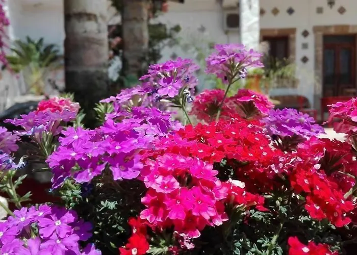 Da Mesciu Nzinu 3* Sannicola