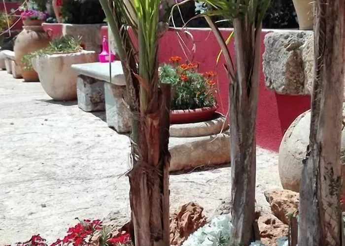 Bed & Breakfast Da Mesciu Nzinu