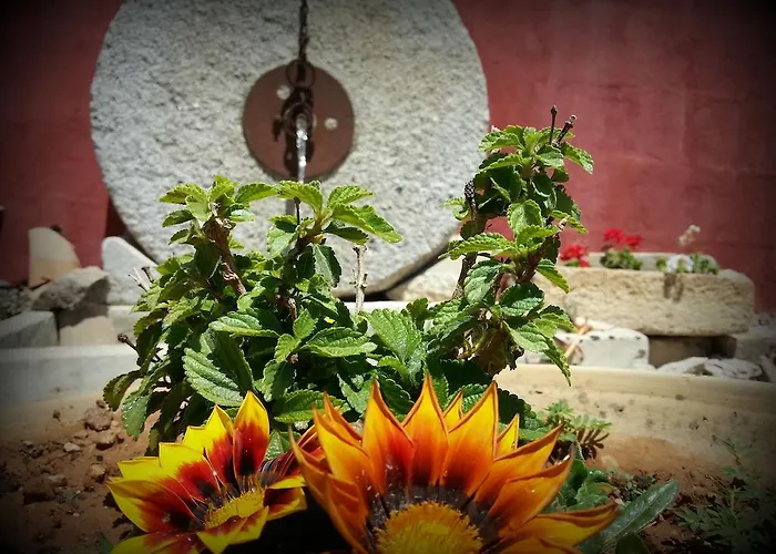 Bed & Breakfast Da Mesciu Nzinu 3*